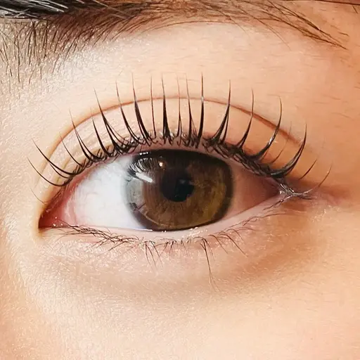 ⭐️選べるまつ毛パーマ⭐️レッスンモデル2名様限定！