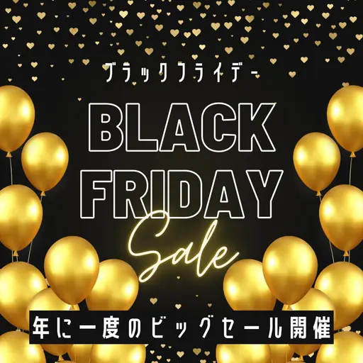 BLACK　FRIDAY限定　全身脱毛13回