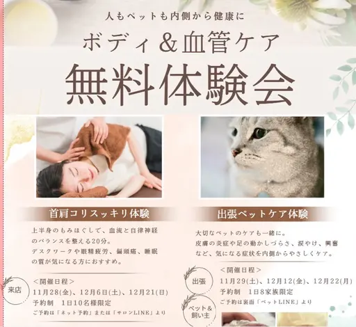 【日時限定】ボディ＆血管ケア 20分無料体験会
