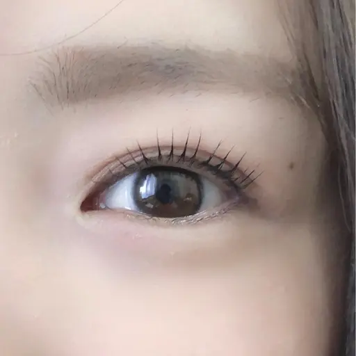 スタッフ研修用まつ毛パーマモデル　※募集日時をご確認ください