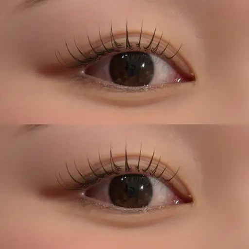 🪄【急募12/2 15:45~】下エク （所要時間45分）⚠︎詳細情報要確認🫧