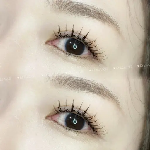 高持続LEDフラットラッシュ120本オフ込み👀