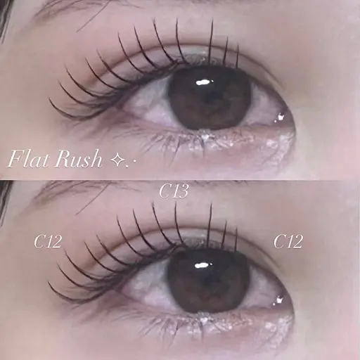 ⊹ ⋆゚꒰ఎ セーブル100本 ໒꒱ ⋆゚⊹