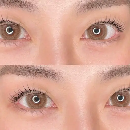 Jr.スタイリスト、ラッシュリフト／上まつ毛