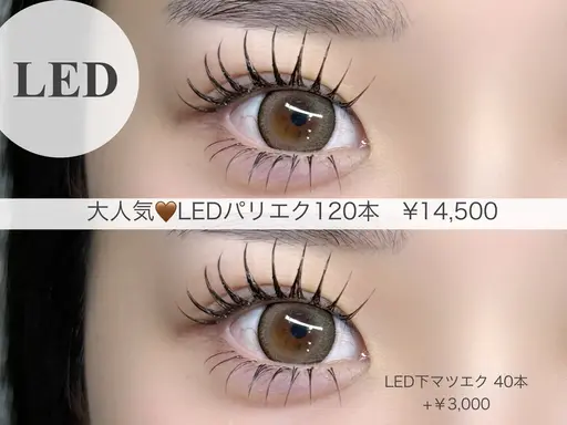 LEDアンドヘルシー120本💭圧倒的なもちで可愛さ長持ち
