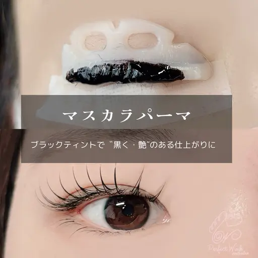 まつ毛ティント☆マスカラパーマ💫ラッシュリフト