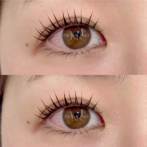 【ミニモ限定】12/5ご来店限定！選べるまつげパーマ💎パリジェンヌorデザインラッシュリフト👀🤍