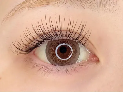 【🤍minimo限定価格🤍】フラットラッシュ100本