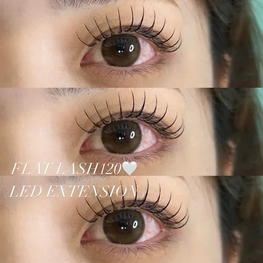 2.4.5.6日限定価格‼️【🎀flat lash 120本🎀】