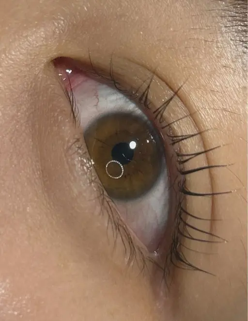 クリスマス イベントに⛄️🎪まつげパーマ+フルケア(土日祝日+550)⚠️口コミ必須