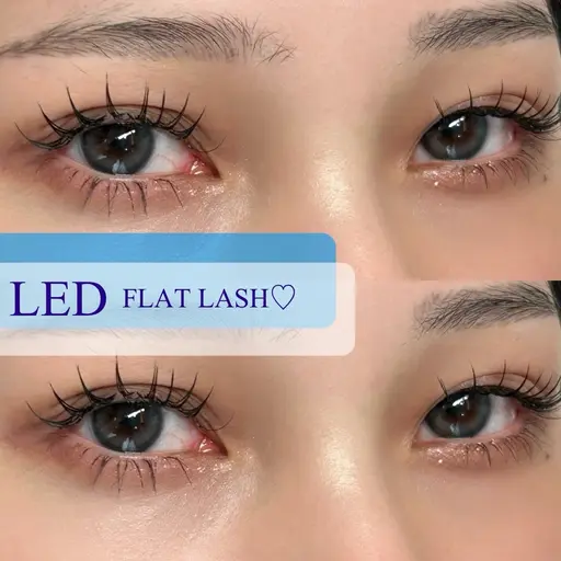 【練習モデル】LEDエクステ8月限定🩵100本(オフ代1100円)