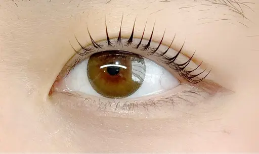 💛【パリジェンヌ】or【似合わせまつげパーマ】💛束感仕上げ付き‎🎀男性の方も大歓迎🙆‍♀️ ￥4,000