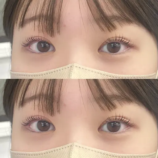 🪼夏休みミニモ学割🪼アイブロワックス➕フラットラッシュ100~120