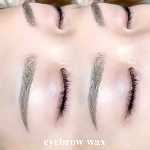 ꒰眉WAX ꒱🤎🎀