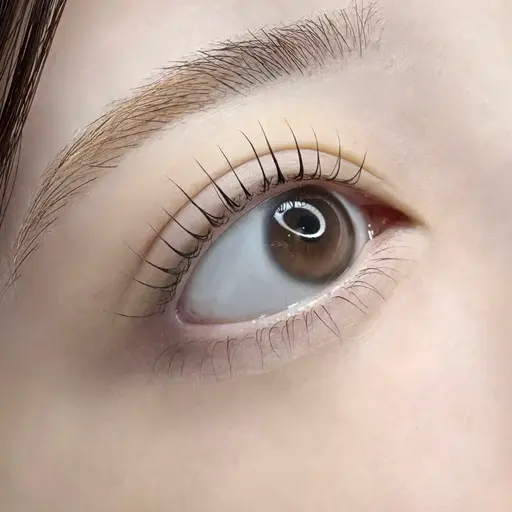 【29日18:30​〜​お一人様限定🌟】上下まつ毛パーマ💖✨(アイシャンプー+お仕上げ束間コーティング付き)