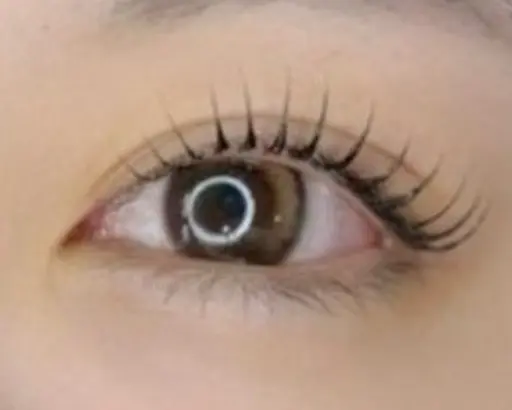 👀 12月15日限定 10.12.14時 LEDマツエク パリエクオフ込みフラットラッシュ最大100本