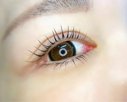 ケラチントリートメントLUSHLIFT(まつげパーマ)【ｱｲｼｬﾝﾌﾟｰ､ｺｰﾃｨﾝｸﾞ込】