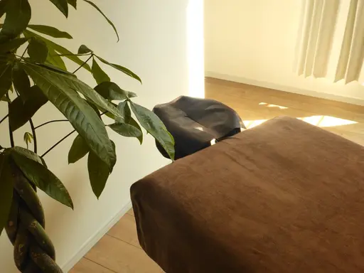 肩首ケア45分｜スマホ肩リセット