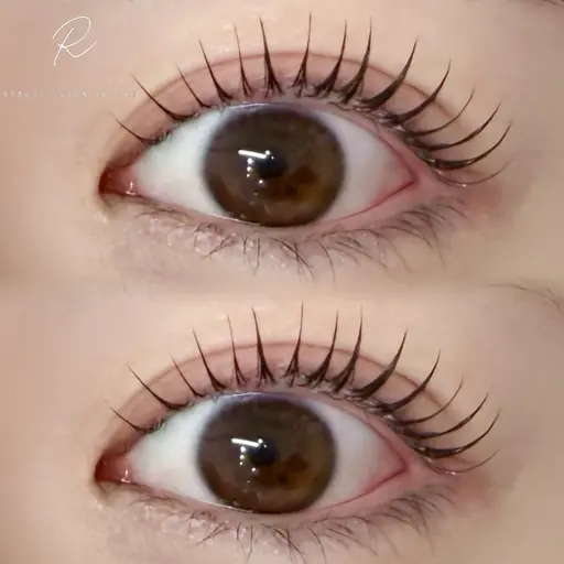 《20日限定🙆🏻‍♀️》まつげパーマ💛+トリートメント込✨コーティング束感仕上げ🇰🇷🌙