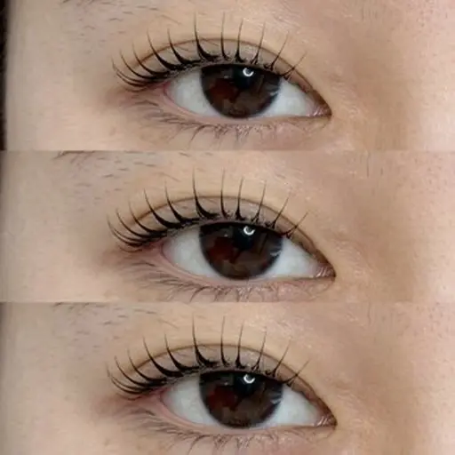 パリジェンヌラッシュリフト モデル募集🌷