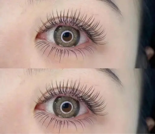 練習モデルコロミ不可🫥フラットラッシュ80  初回オフ込み