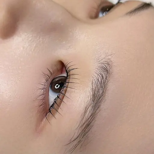 【11/25~27】パリジェンヌラッシュリフト　90分