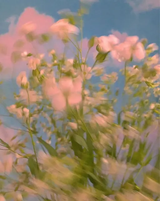 【バインドロック】🎀60束/180本/