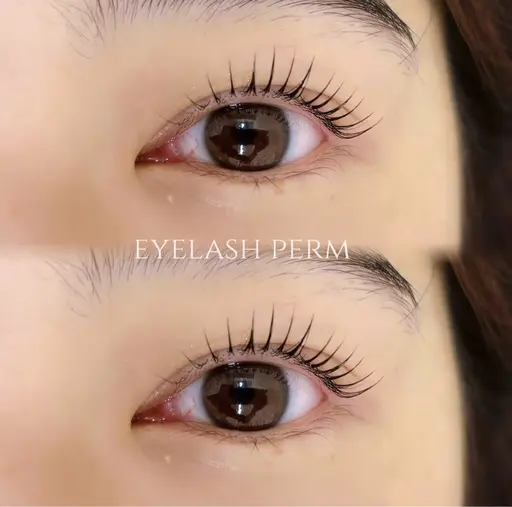 12月限定🎄❄️ミニモ限定価格《パリジェンヌラッシュリフトor似合わせラッシュリフト》