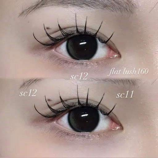 🪩パリエク100本✧︎.* ⌇オフ.束感コーティングお仕上げ付🪞🪄