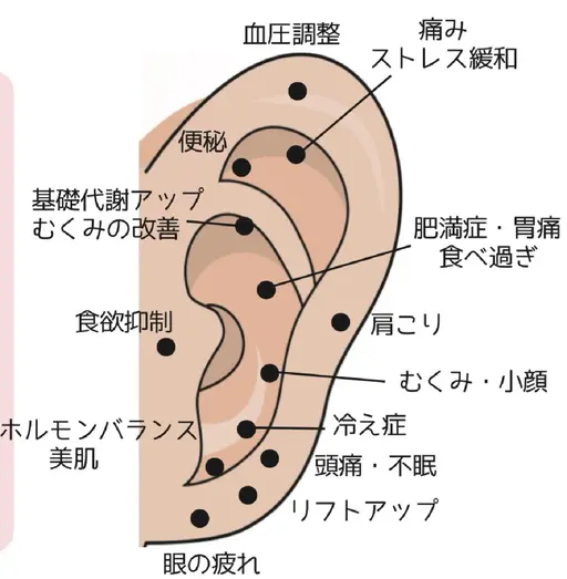【早い方で1週間‐2kg】更年期・むくみ太りに◎耳ツボで内側から整える時短ダイエット