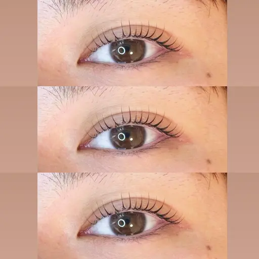 🌟まつ毛パーマorパリジェンヌラッシュリフト✖️アイブロウwax脱毛🌟
