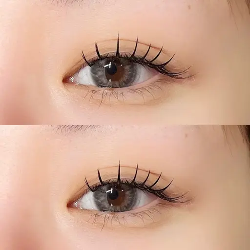 LED導入記念☆バインド60束orフラット80本¥6770