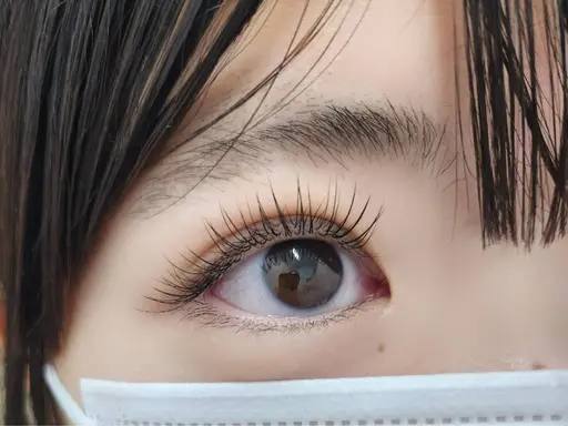 練習モデル🍁まつげエクステ両目80本(オフ別)