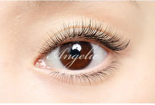 ⭐️120本　（オフあり）⭐️