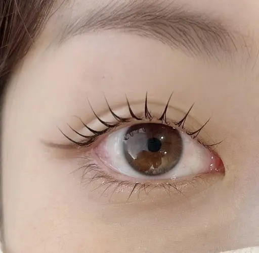 【♥️登録の方限定♡韓国✨束感まつげ】つけまつげメイク※他のメニューに追加も可能