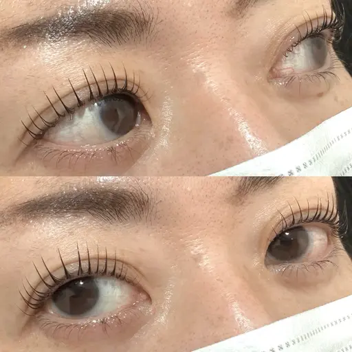 【 平日限定🪄】パリジェンヌラッシュリフト👀💕(コーティング付)