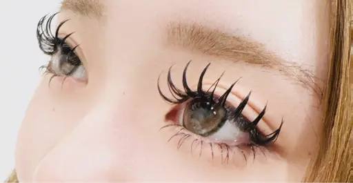 〈ミニモ価格〉フラットラッシュつけ放題