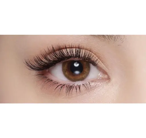 バインドロック 60分 つけ放題 【100束 ~ 120束】 他店オフ無料 ※カラー追加料金無し