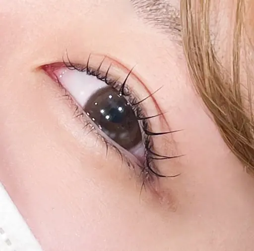 【🌟カウンセリング付き！🌟】👀1時間マツエク付け放題‼️（120本まで）※フラットラッシュとなります