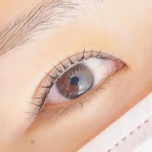 📢【まつ毛パーマ練習モデル募集中】📢