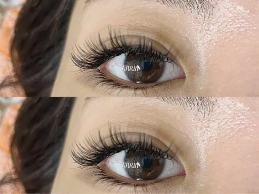 ❤️‍🔥👏👏👏3Dボリュームラッシュ付け放題