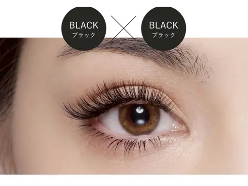 高持続バインドロック120束（濃密仕上げ）