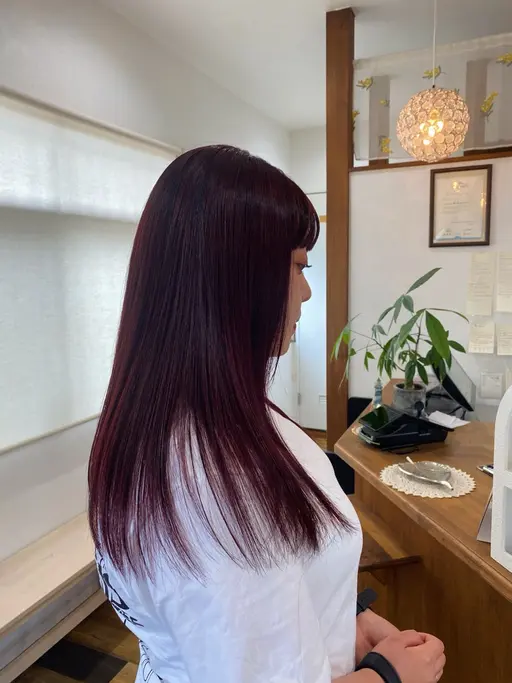 カット 【ロングの方のメンテナンスカット限定✨】 毛先を整える、毛量調節など✂️(※シャンプーブロー代別)