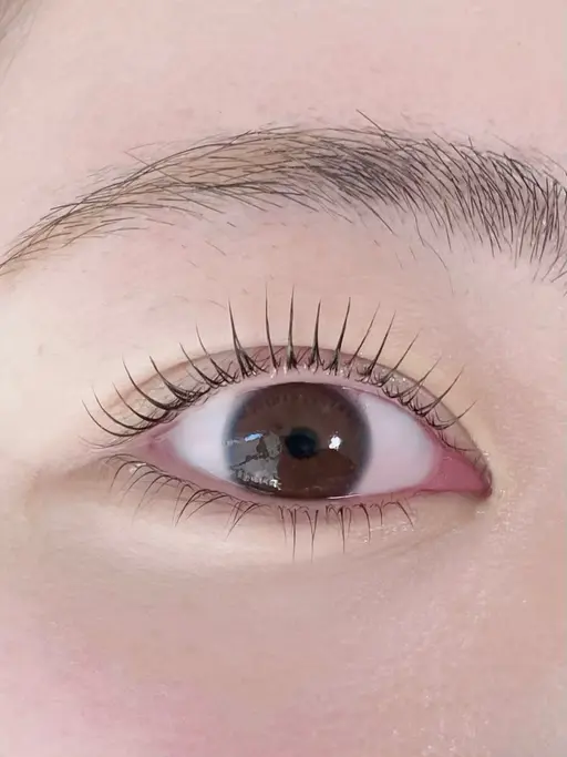 🉐超お得！💎上下まつげパーマ技術向上モニター募集！✨️