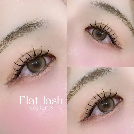 フラットラッシュ 120本 《コーティング付》