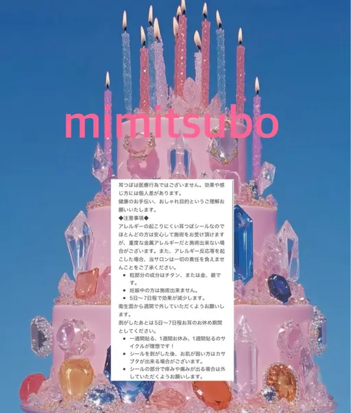 限定価格！耳つぼジュエリー全12粒💎片耳6粒ずつ💓/1粒追加+200 耳ツボ