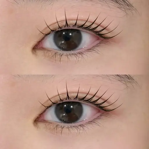 🫧上まつ毛パーマ🫧(アイシャンプー付き)