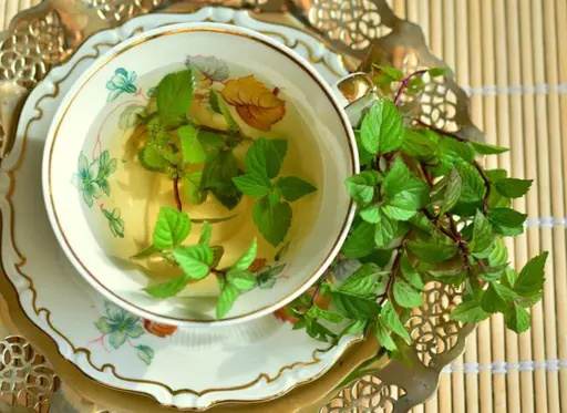 【剥離なしハーブピーリング+毛穴吸引】  《こんな肌悩みに》小鼻の皮脂、毛穴汚れ、ざらつき、繰り返す肌荒れ