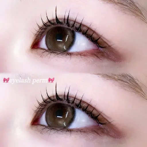ミニモ限定✨️まつ毛パーマ➕美容コーティング付き🎀