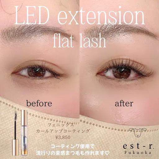 【11/4まで限定🎀1日1名様限定】  LEDマツエク🪶 ※プレデビュー価格